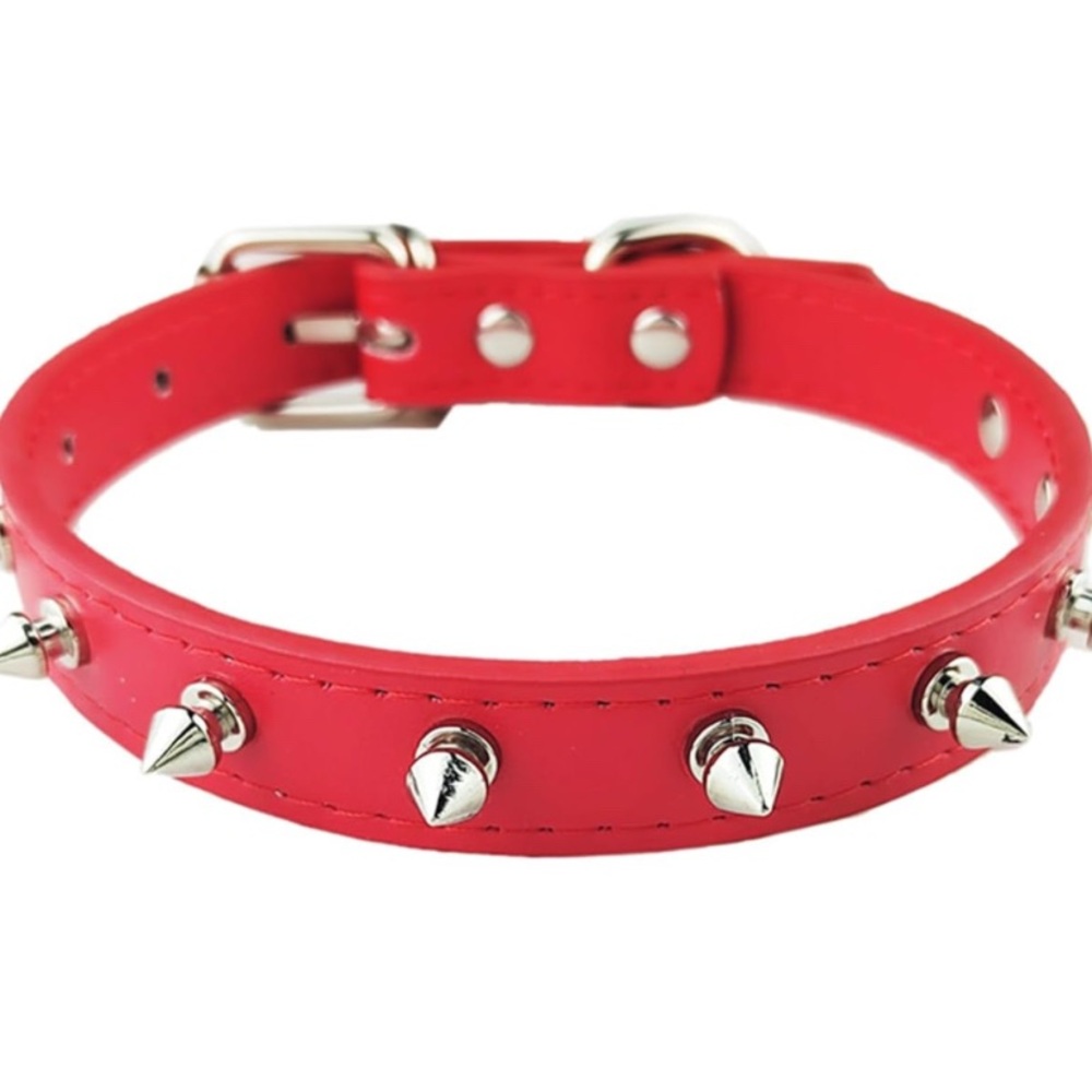 Spiked Pet Collar